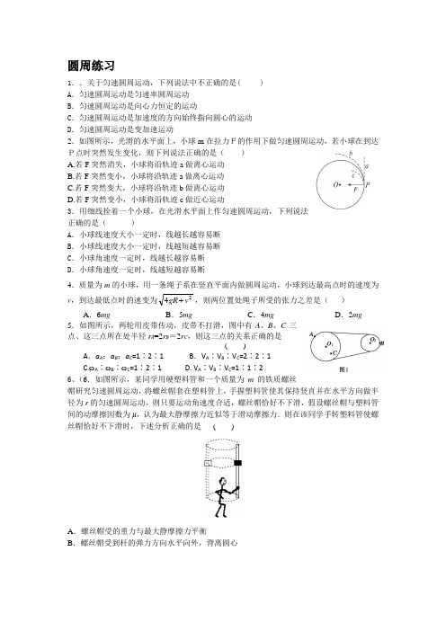 圆周运动同步练习