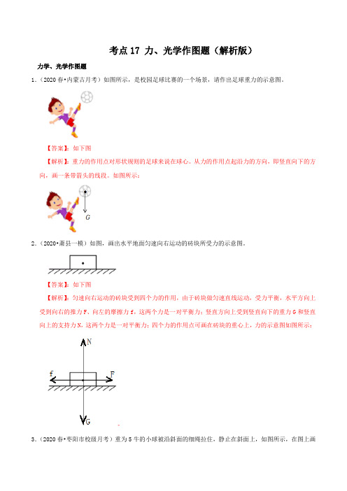 34.中考物理分类考点 力、光学作图题(解析版)