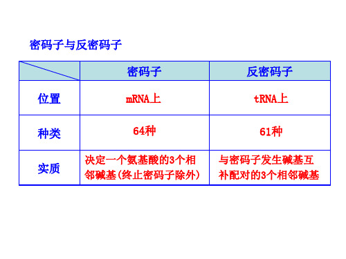 密码子与反密码子PPT