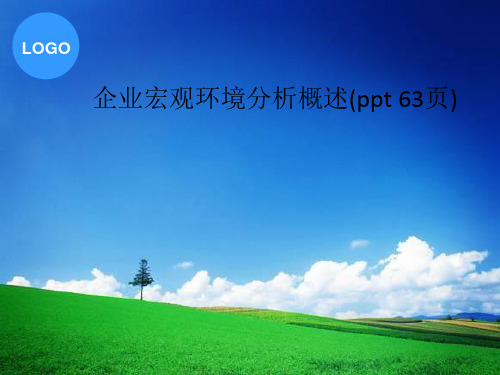 企业宏观环境分析概述(ppt 63页)