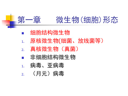 微生物(细胞)形态