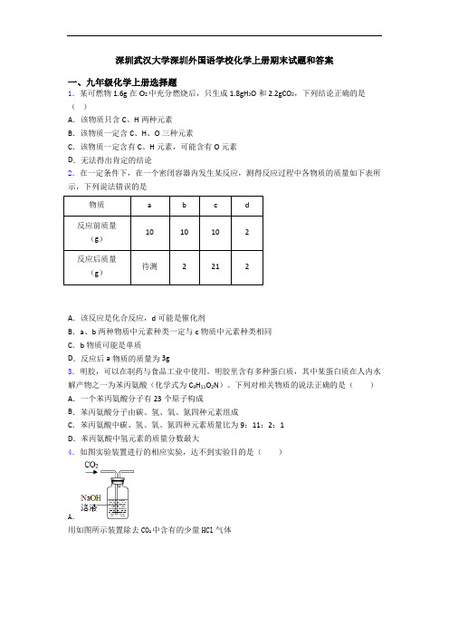 深圳武汉大学深圳外国语学校化学初三化学上册期末试题和答案