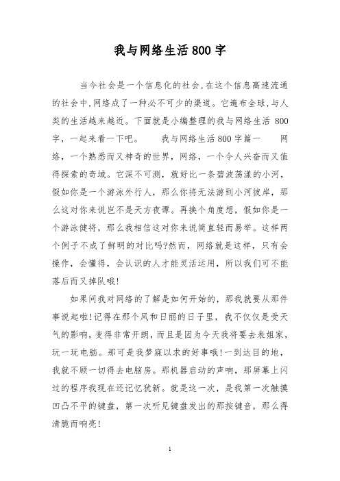 我与网络生活800字