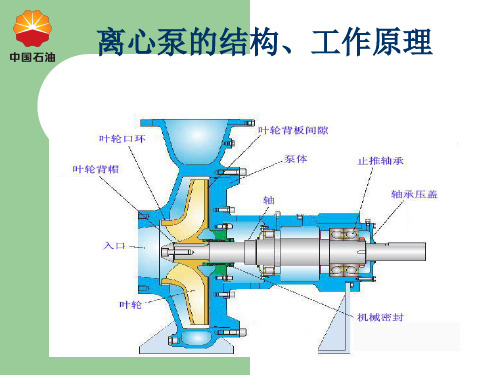 离心泵的结构和工作原理