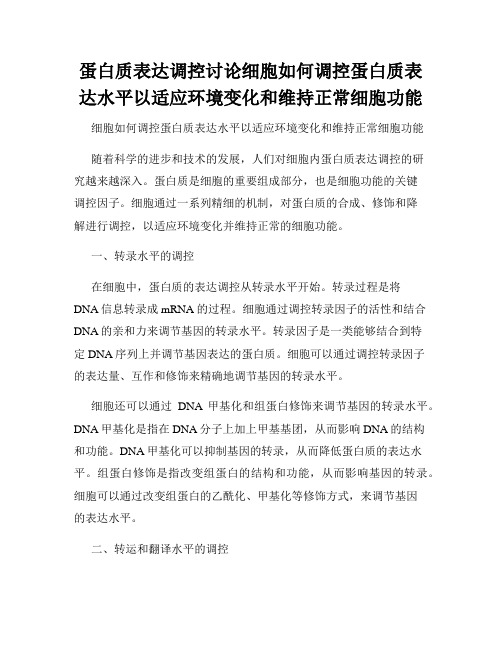 蛋白质表达调控讨论细胞如何调控蛋白质表达水平以适应环境变化和维持正常细胞功能