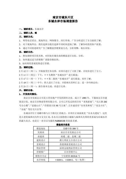 XX水岸调研报告
