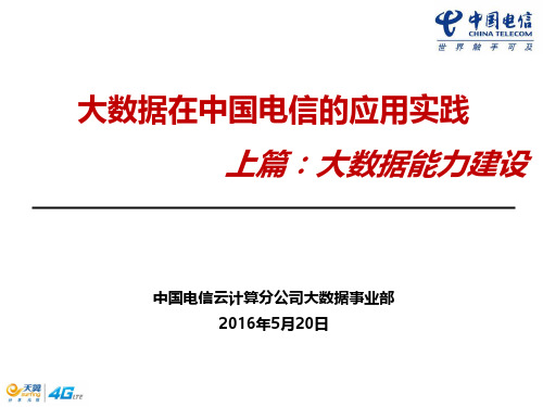 大数据在中国电信的应用实践(大数据能力建设)