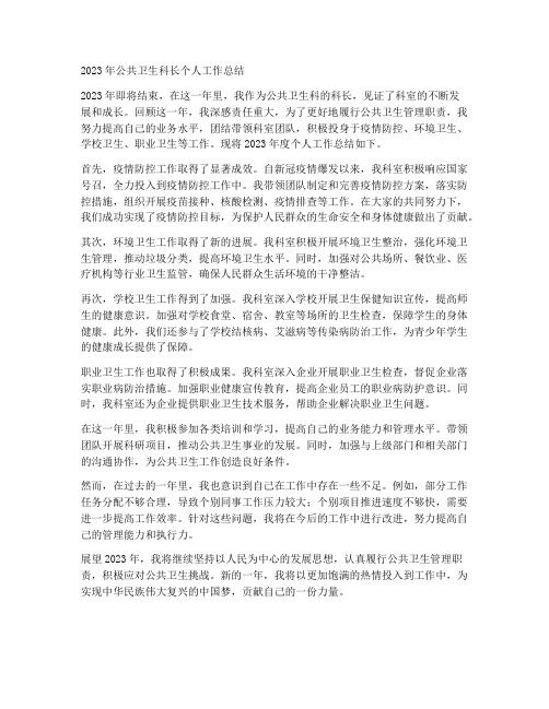 公卫科科长个人工作总结