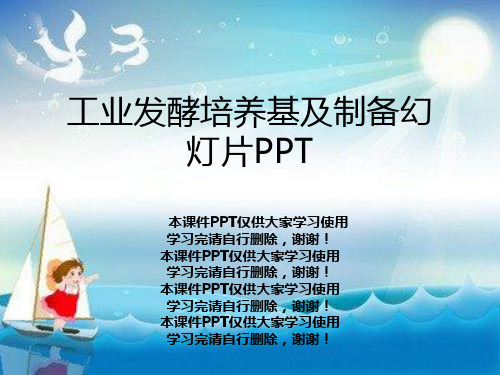 工业发酵培养基及制备幻灯片PPT