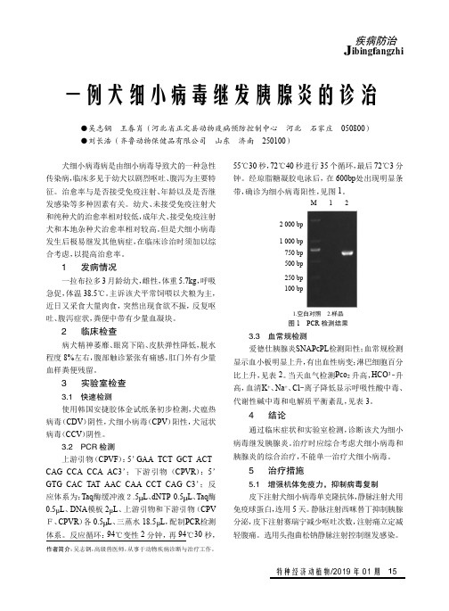 一例犬细小病毒继发胰腺炎的诊治