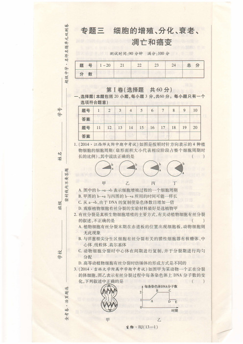 金考卷高一生物必修一专题三 细胞的增值、分化、衰老、凋亡和癌变