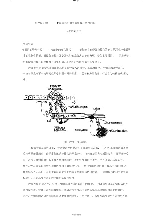 肿瘤细胞迁移实验(细胞划痕法)讲义