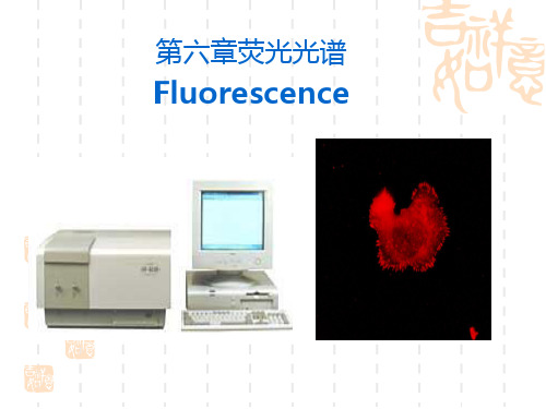 第六章荧光光谱