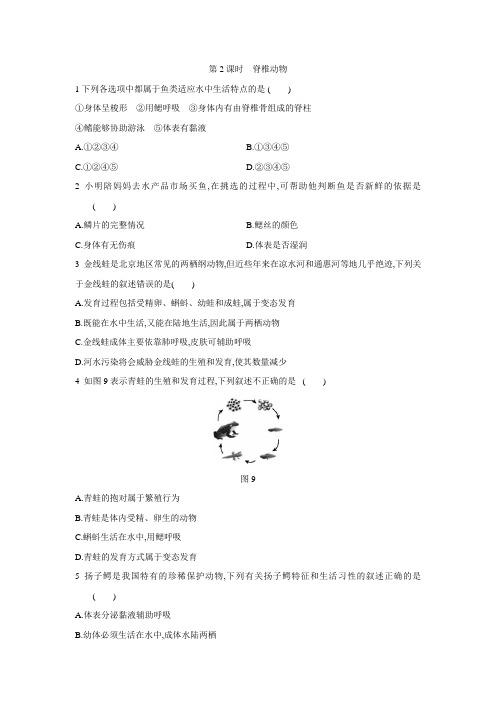 北京课改版八年级生物下册同步练习：第十三章 第六节 第2课时 脊椎动物