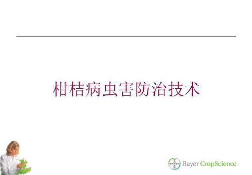 柑桔病虫害防治技术培训课件