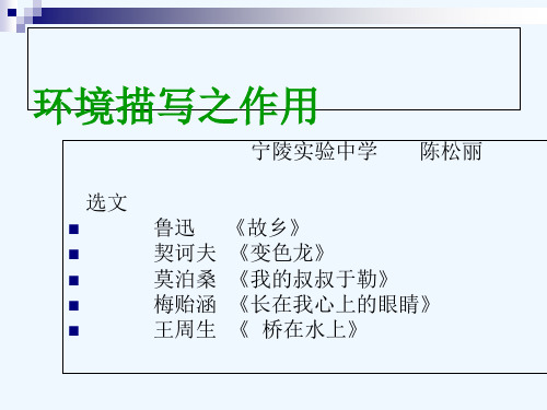 语文人教版九年级下册群文阅读——环境描写之作用