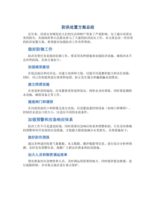 防洪处置方案总结