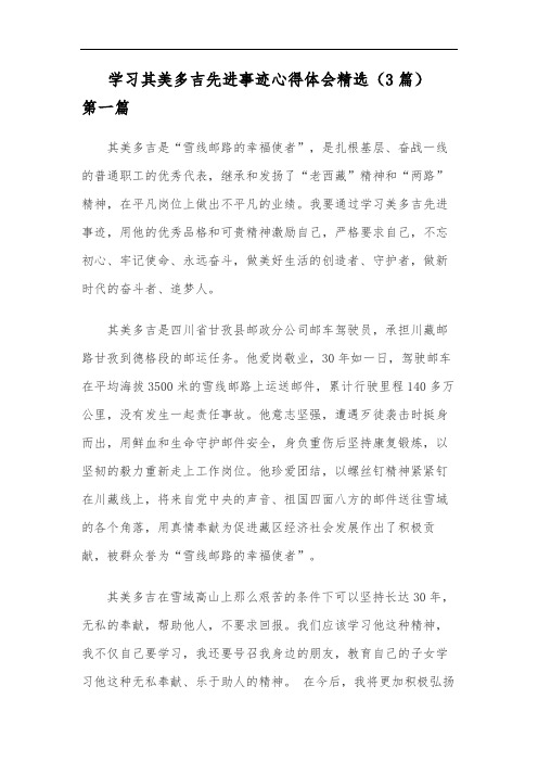 学习其美多吉先进事迹心得体会精选(3篇)