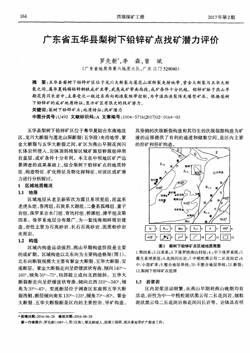 广东省五华县梨树下铅锌矿点找矿潜力评价