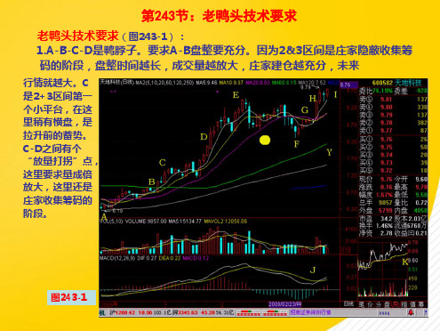 第节老鸭头技术要求(详细分析：要求)共8张PPT