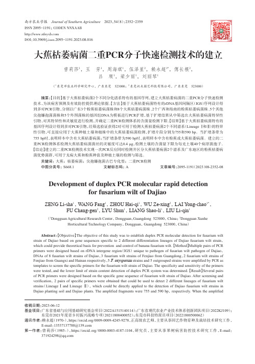 大蕉枯萎病菌二重PCR分子快速检测技术的建立