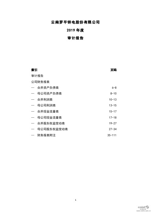 罗平锌电：2019年年度审计报告