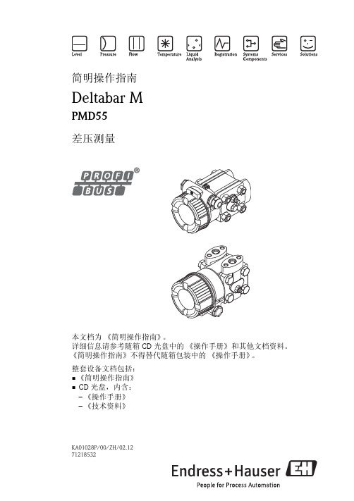 E+H Deltabar M PMD55 Profibus 差压测量简明操作指南