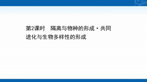 2020-2021学年高中生物人教版必修2课件-隔离与物种的形成-共同进化与生物多样性的形成