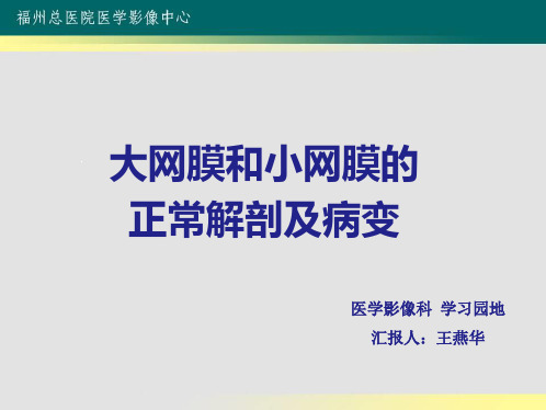 培训_大网膜和小网膜的正常解剖及病变