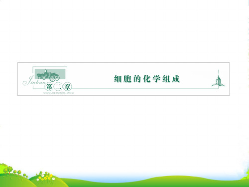 《金》高中生物 第二单元 第一节细胞的化学组成课件 苏教必修1