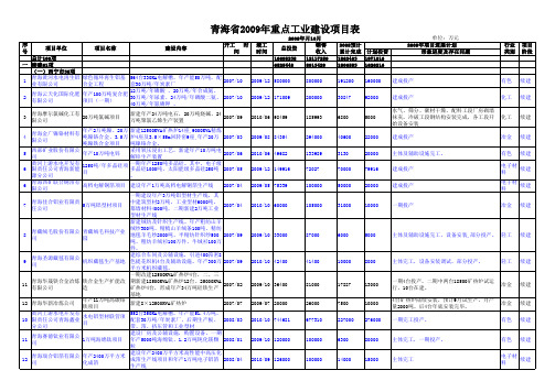 青海省2009年重点工业建设项目表(报发改委)