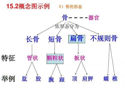 北师大版生物八上15-18章概念图