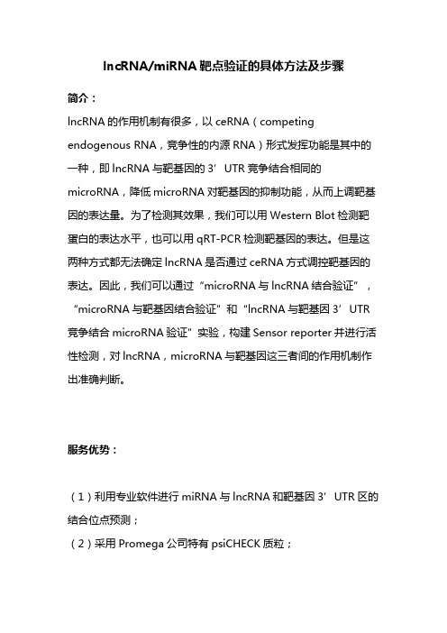 lncRNA与miRNA靶点验证的具体方法及步骤