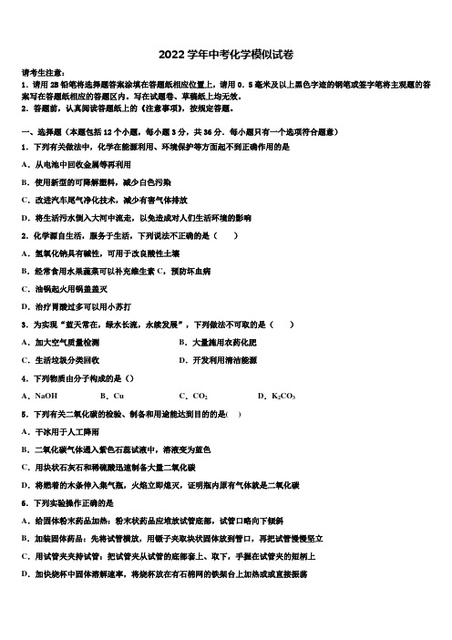 2022年湖南省长沙麓山国际实验校中考化学全真模拟试卷(含解析)