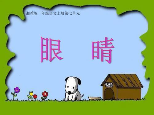 一年级语文上册眼睛 PPT精品课件1湘教版