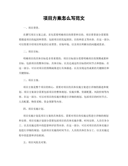 项目方案怎么写范文