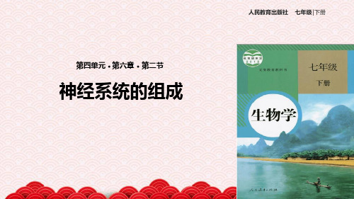 七年级下册生物课件 462神经系统的组成课件人教版
