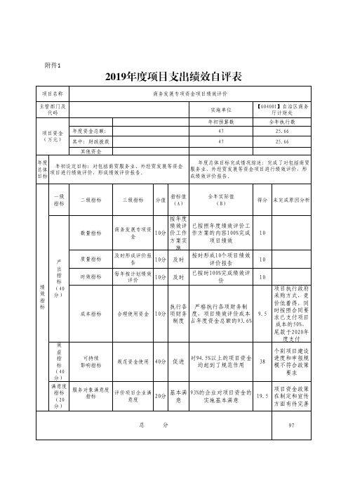 2019年度项目支出绩效自评表