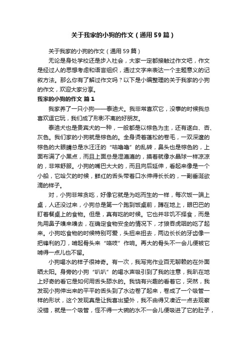 关于我家的小狗的作文（通用59篇）