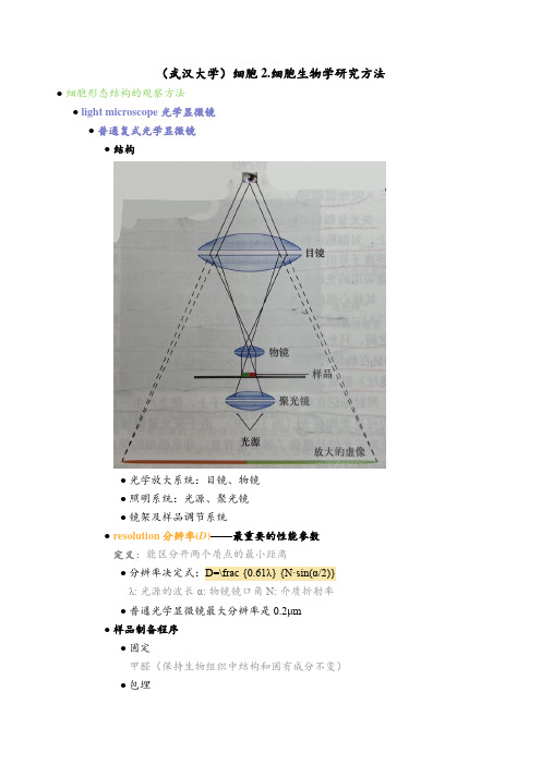 (武汉大学)细胞生物学研究方法