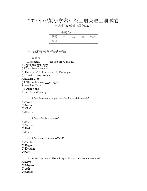 2024年07版小学六年级上册第七次英语上册试卷