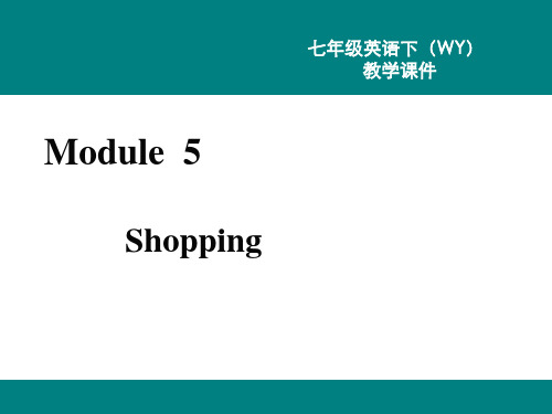 外研版七英下(WY)精品教学课件 Module 5 Shopping Unit 2