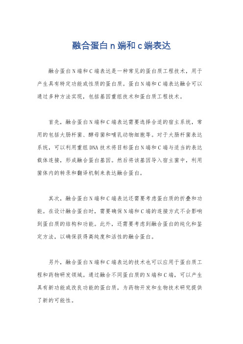 融合蛋白n端和c端表达