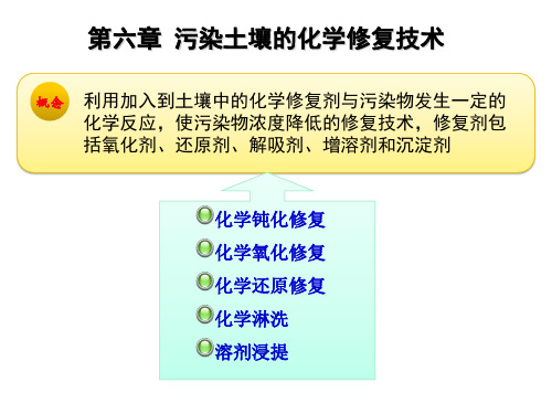 第六章 污染土壤的化学修复原理与技术PPT课件