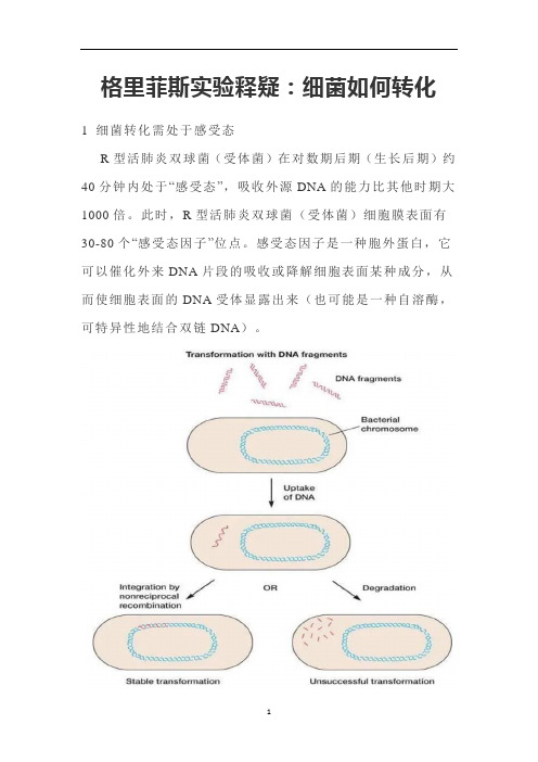 高中生物 格里菲斯实验释疑：细菌如何转化