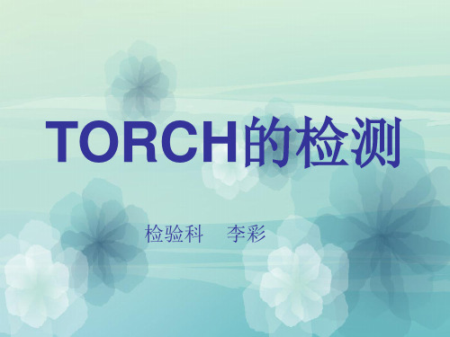 TORCH的检测