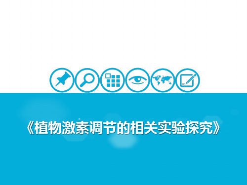 植物激素调节的相关实验探究公开课PPT高考一轮复习生物PPT