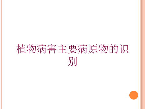 植物病害主要病原物的识别培训课件