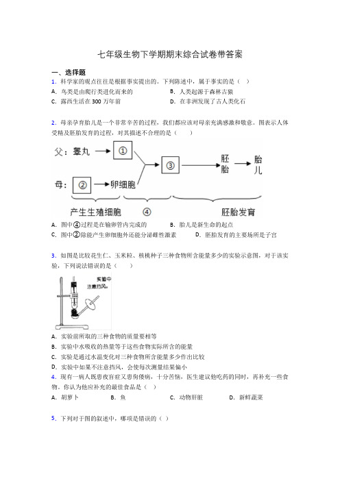 七年级生物下学期期末综合试卷带答案