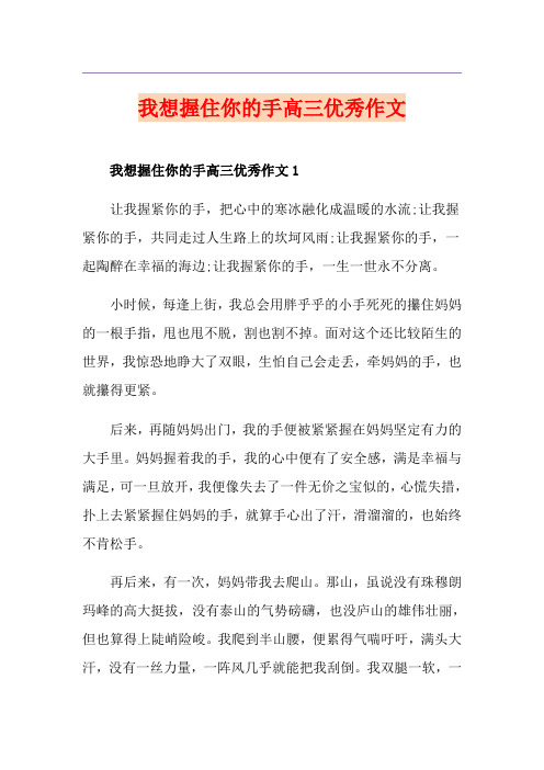 我想握住你的手高三优秀作文